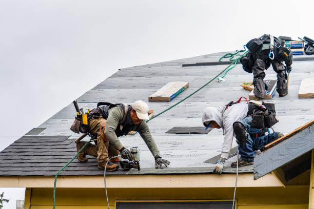 Professional Gutter Installation technician working in Gulfport, FL